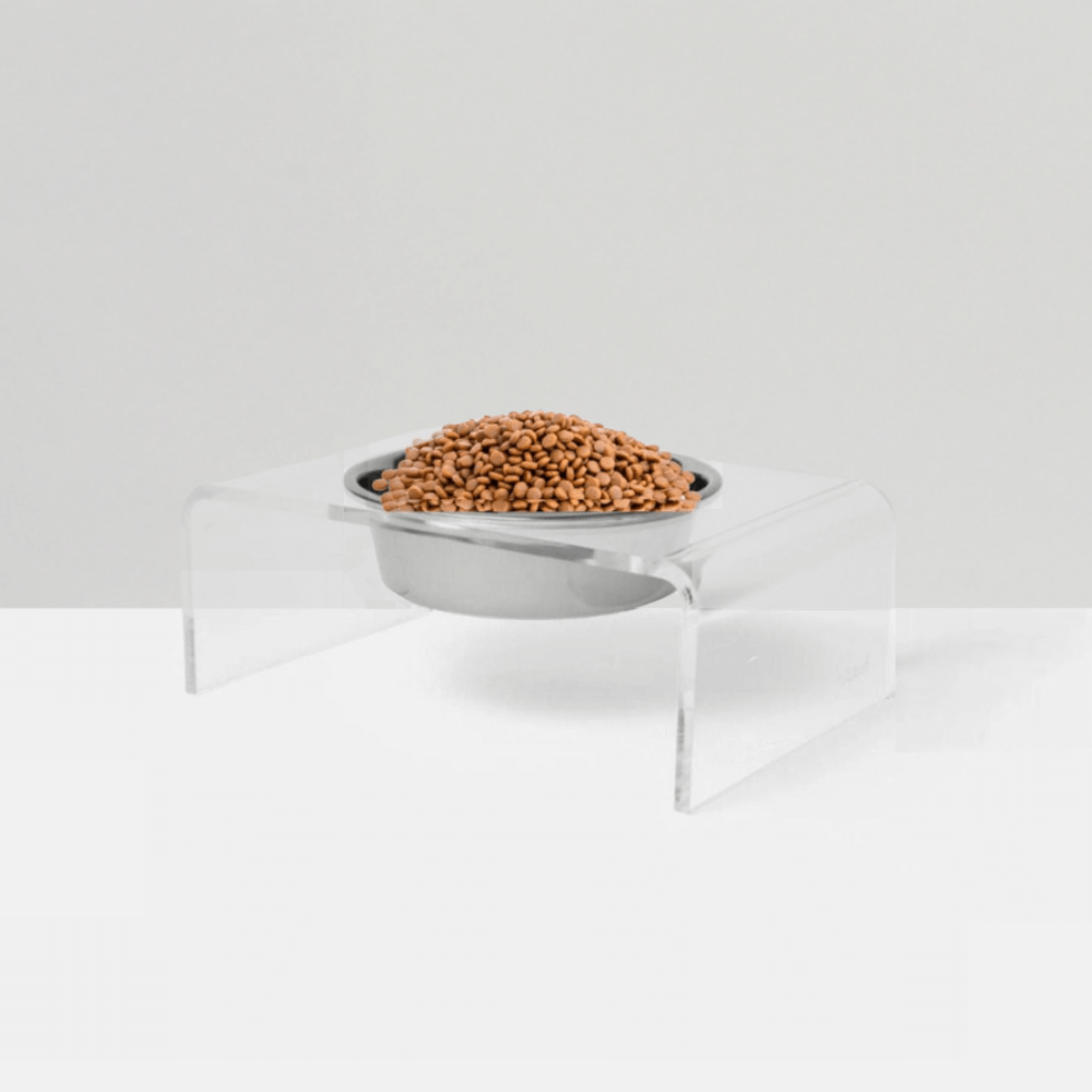 Clear single silver feeder on white