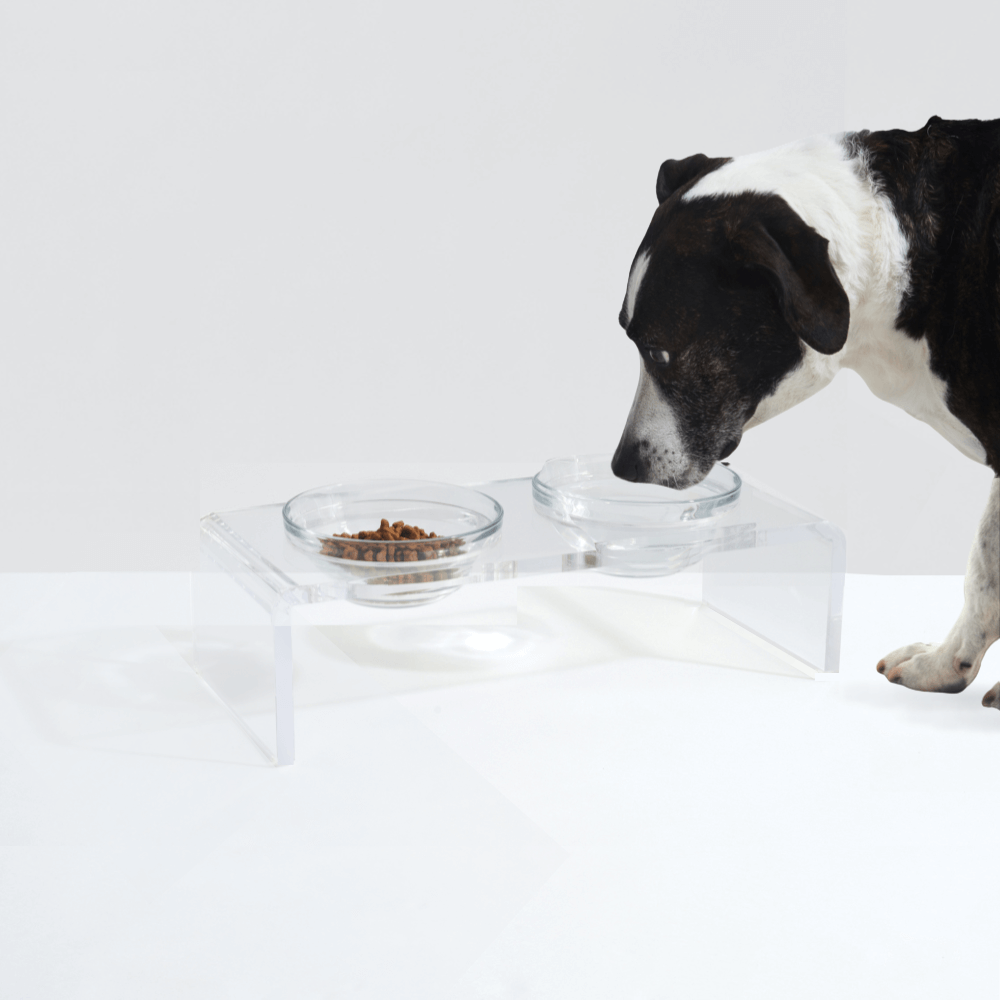 Clear Double Glass Bowl Feeder