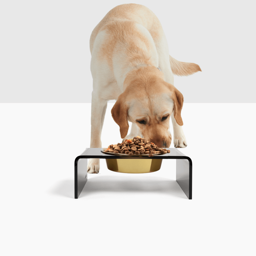 Lifestyle view of Single Smoke Grey Feeder in use