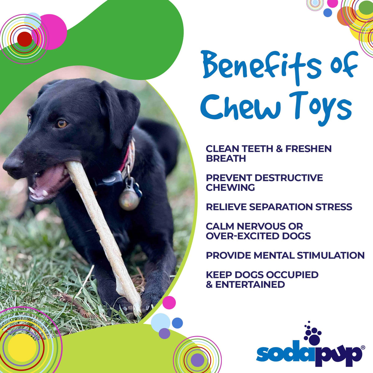 Glow-in-the-Dark Nylon Chew Stick alternate view 3