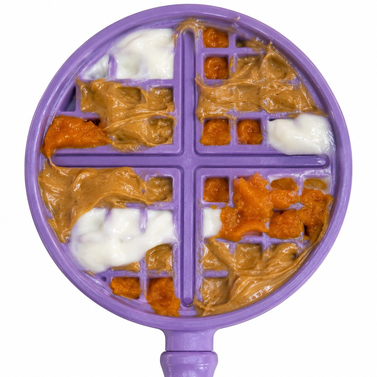 Additional view of the SodaPup eStick handheld enrichment toy