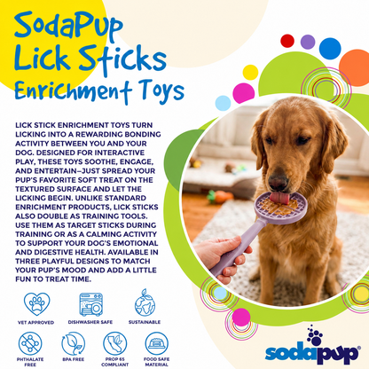 SodaPup eStick handheld enrichment toy product information