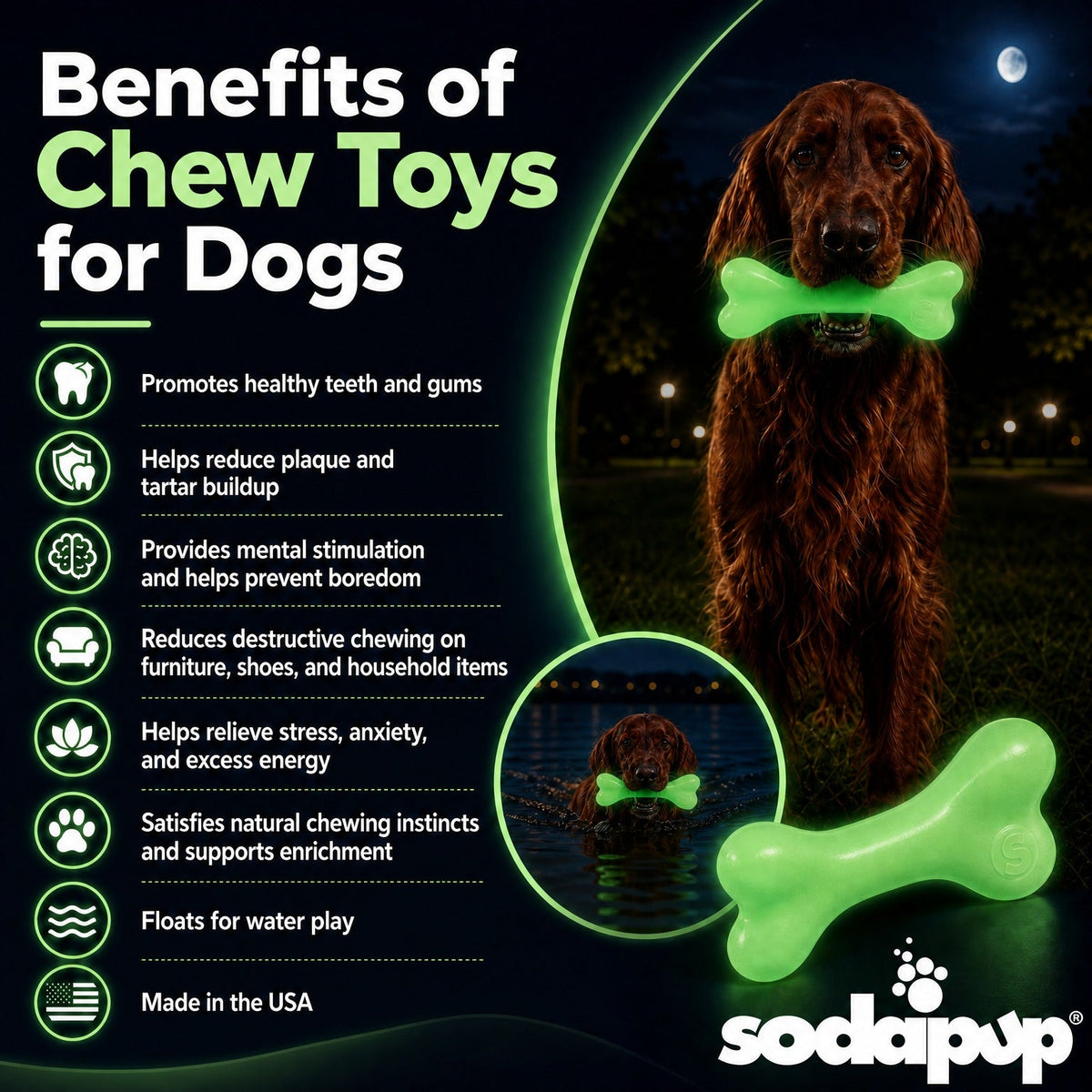 PUP-X Glow-in-the-Dark Rubber Bone detail view