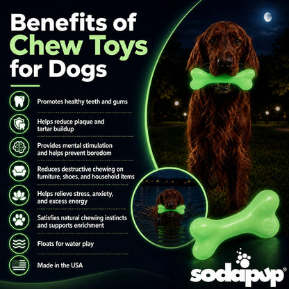 PUP-X Glow-in-the-Dark Rubber Bone detail view