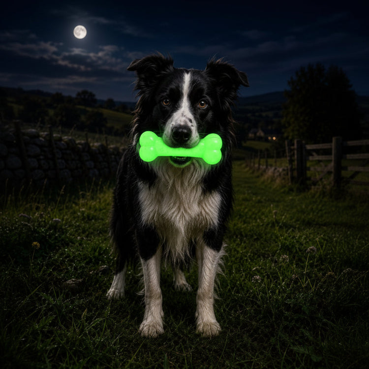PUP-X Glow-in-the-Dark Rubber Bone alternate view 4