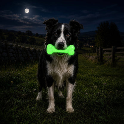 PUP-X Glow-in-the-Dark Rubber Bone alternate view 4