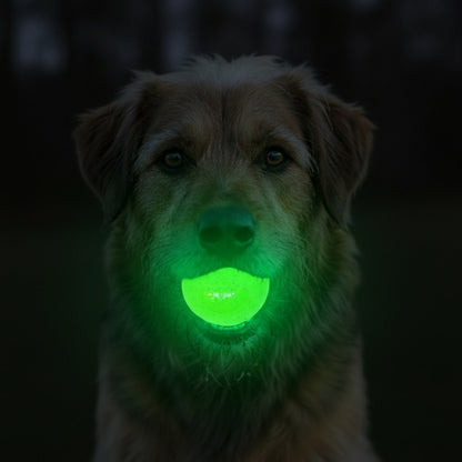 Additional view of Glow-in-the-Dark Glitter Ball Dog Toy - 2 Pack — view 2