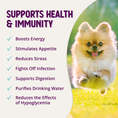 Health Extension Appetite + Energy supplement feature graphic