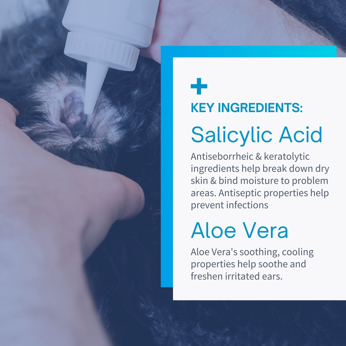 Antimicrobial Ear Clean & Care Solution for Dogs & Cats - 8 oz product detail 4