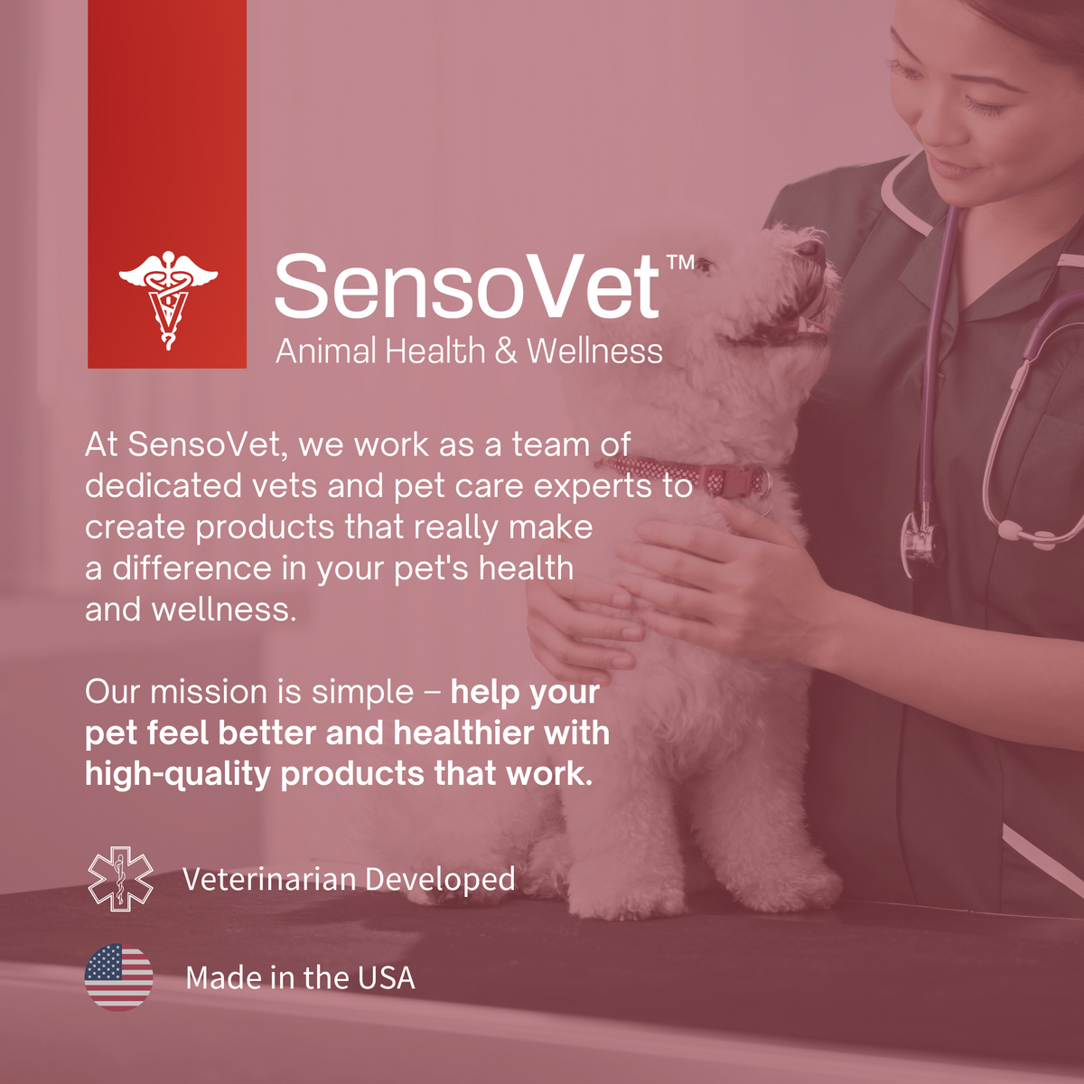 Chlorhexidine & Ketoconazole Shampoo for Dogs & Cats - 12 oz by SensoVet - product detail image 6