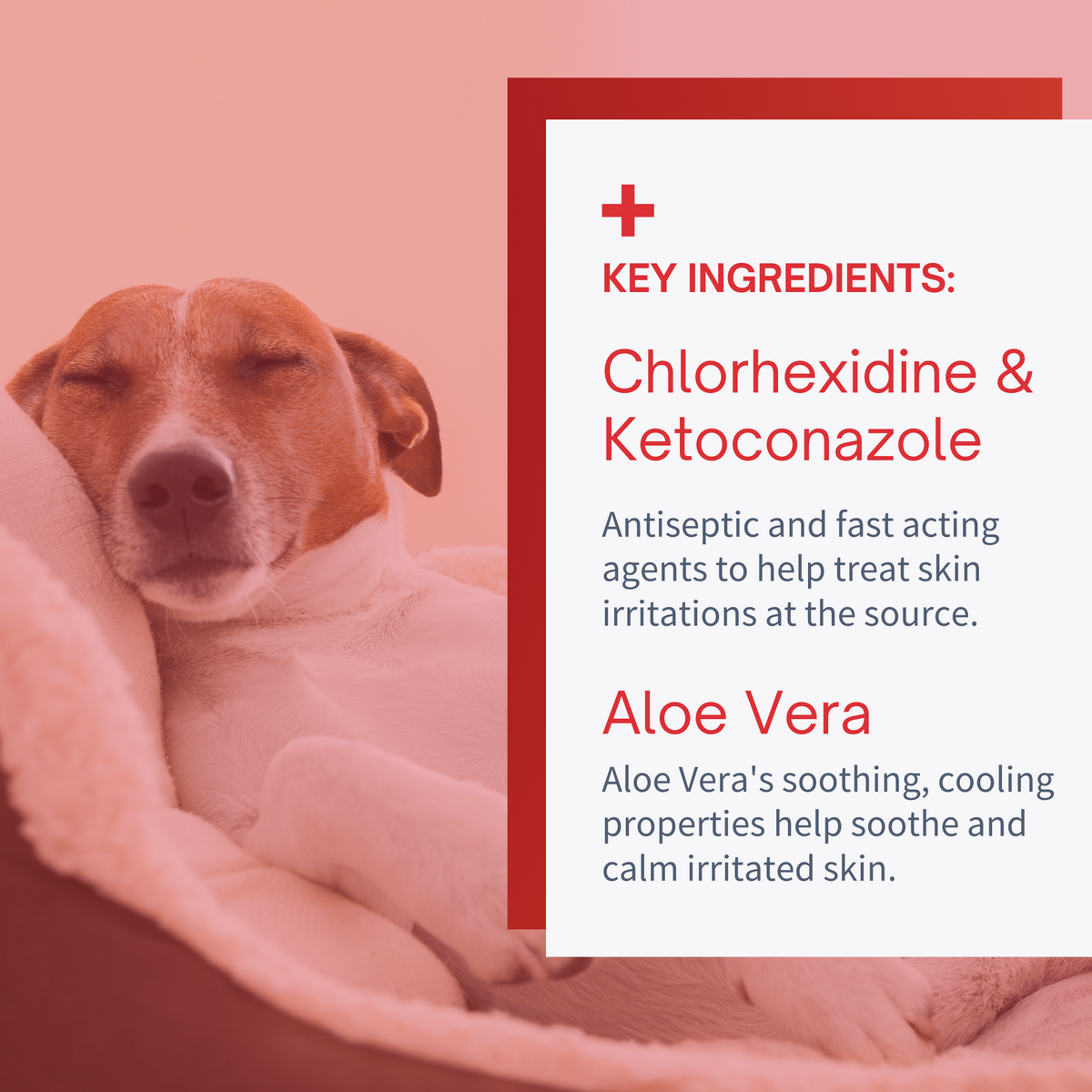 Antiseptic Hot Spot & Rash Spray for Dogs & Cats - 8 oz by SensoVet - product detail image 4