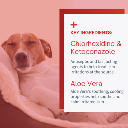 Antiseptic Hot Spot & Rash Spray for Dogs & Cats - 8 oz by SensoVet - product detail image 4