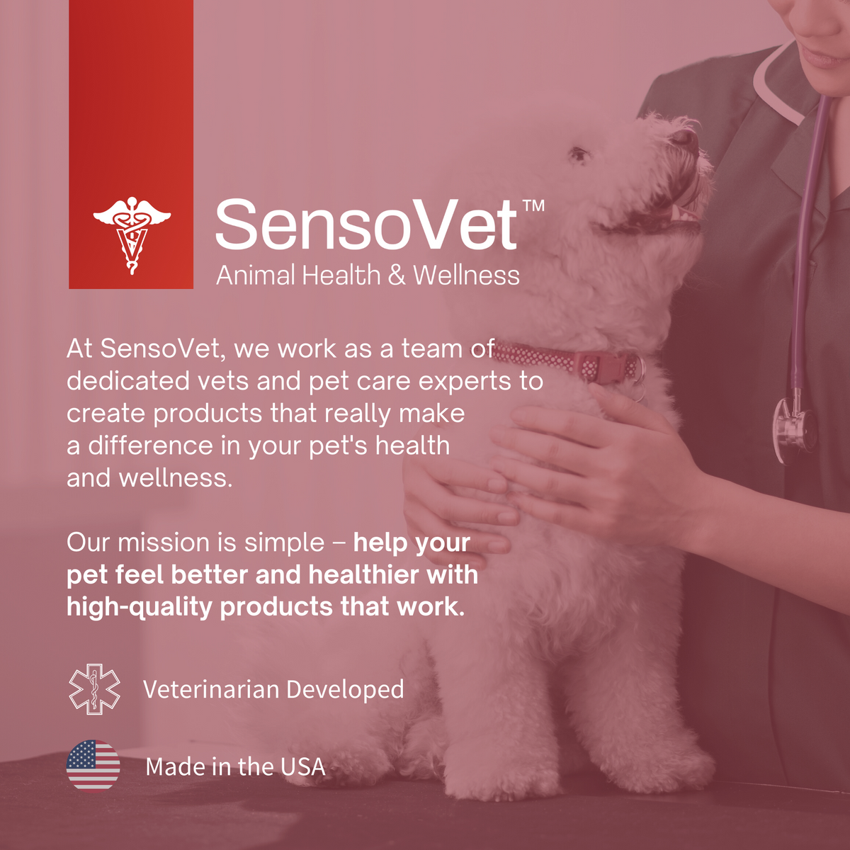 Antiseptic Hot Spot & Rash Spray for Dogs & Cats - 8 oz by SensoVet - product detail image 5