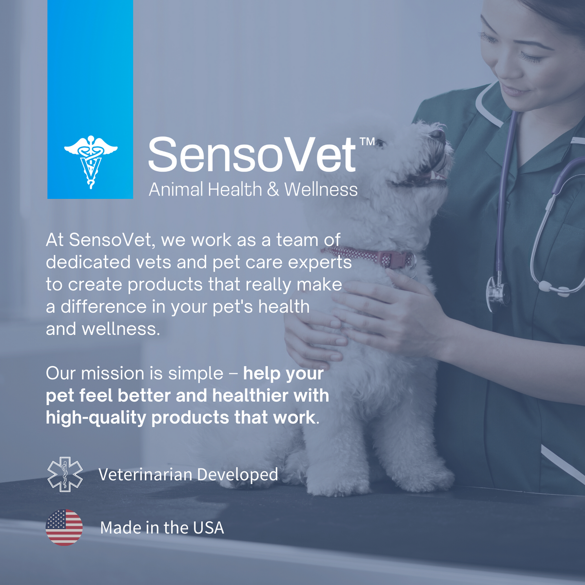 Anti-Dandruff Shampoo for Dogs & Cats - 12 oz by SensoVet - product detail image 5