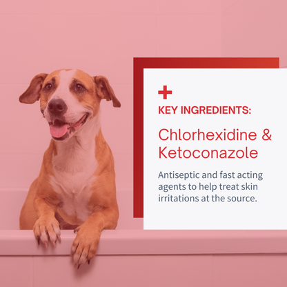 Chlorhexidine & Ketoconazole Shampoo for Dogs & Cats - 12 oz by SensoVet - product detail image 4