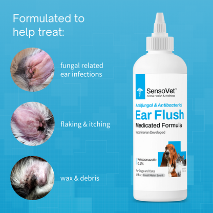 Medicated Ear Flush for Dogs & Cats - 12 oz by SensoVet - product detail image 3