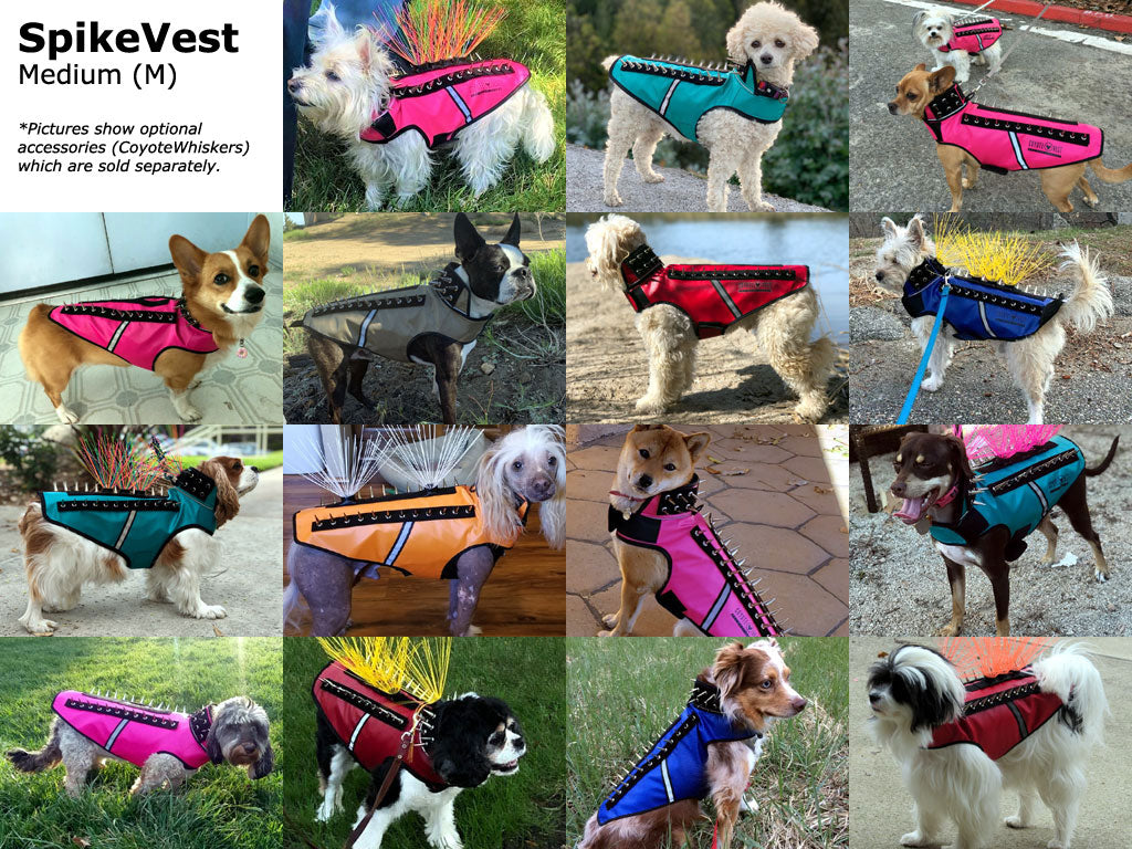 SpikeVest Protective Dog Vest Medium fit examples