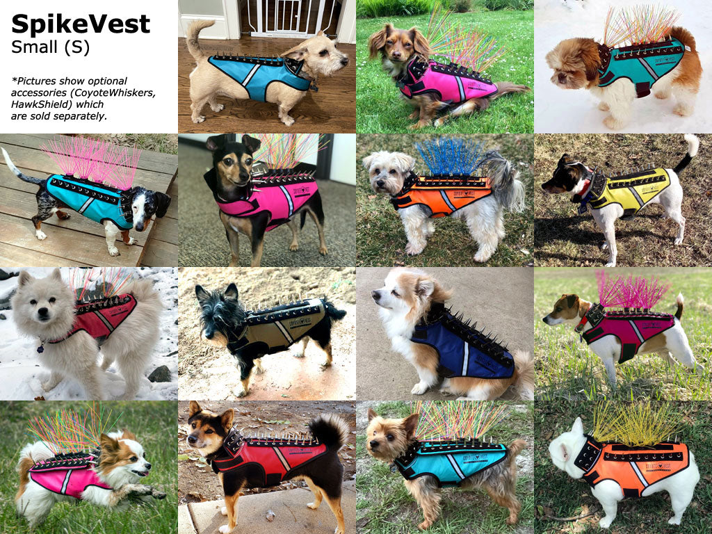 SpikeVest Protective Dog Vest Small fit examples