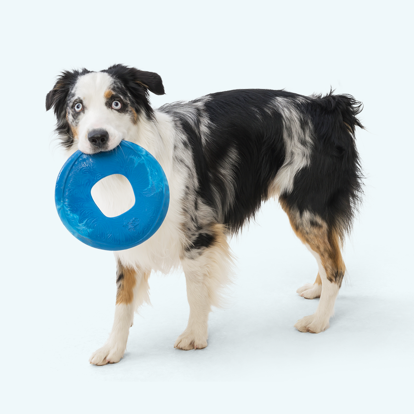 Additional view of the West Paw Sailz dog toy