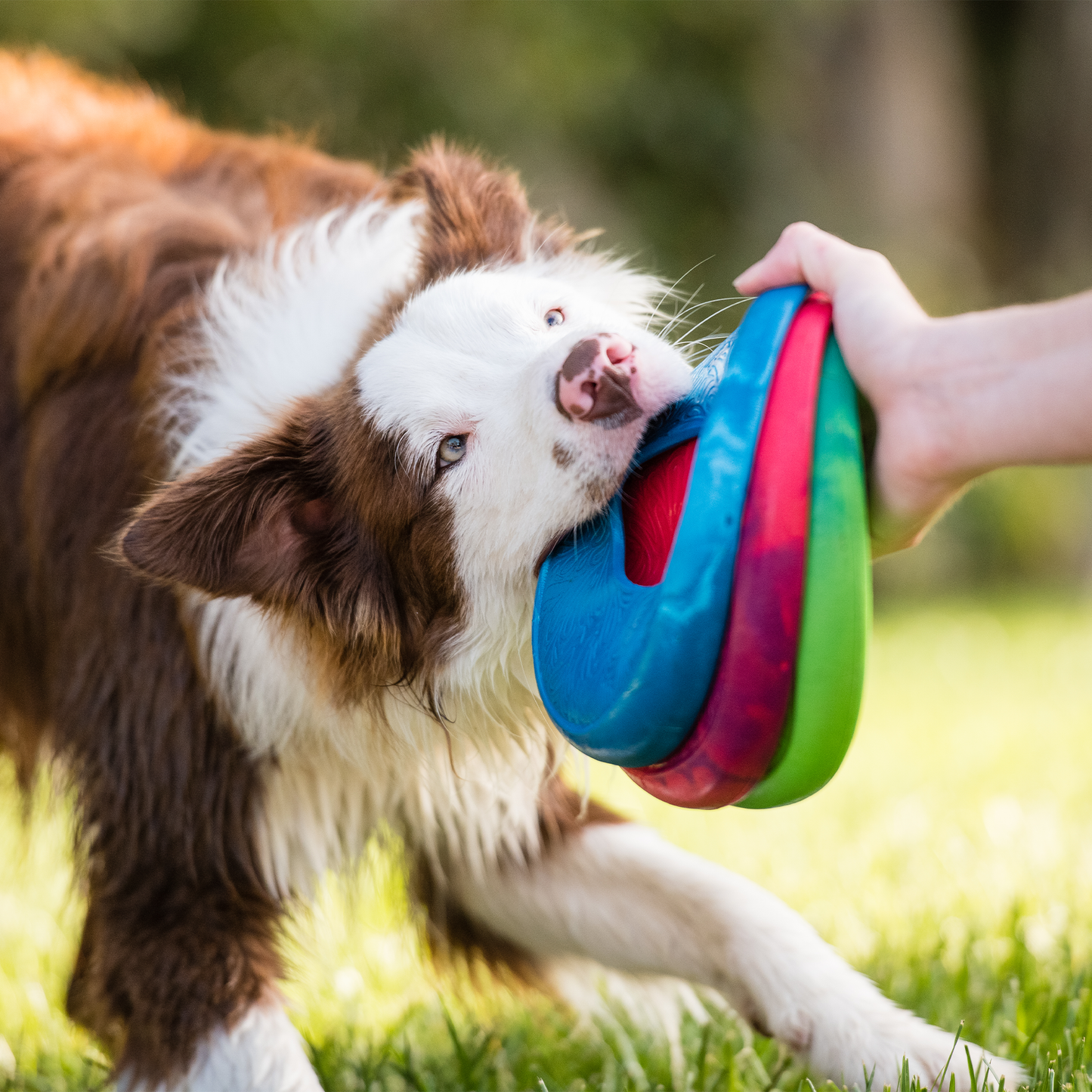 Additional view of the West Paw Sailz dog toy