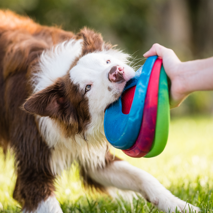 Additional view of the West Paw Sailz dog toy