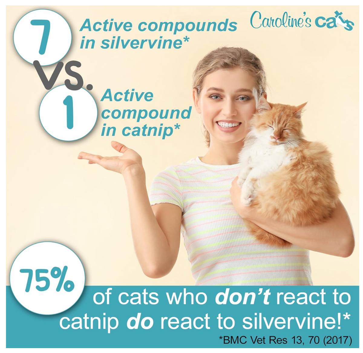 Silvervine Powder Refill Packets for Cat Toys - 10 Pack product detail 2