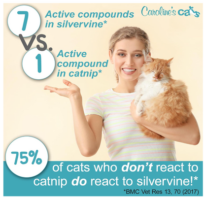 Silvervine Powder Refill Packets for Cat Toys - 10 Pack product detail 2