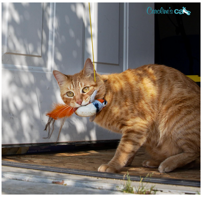 Plush Chirping Bird Cat Toy with Doorway Hanger product detail 6