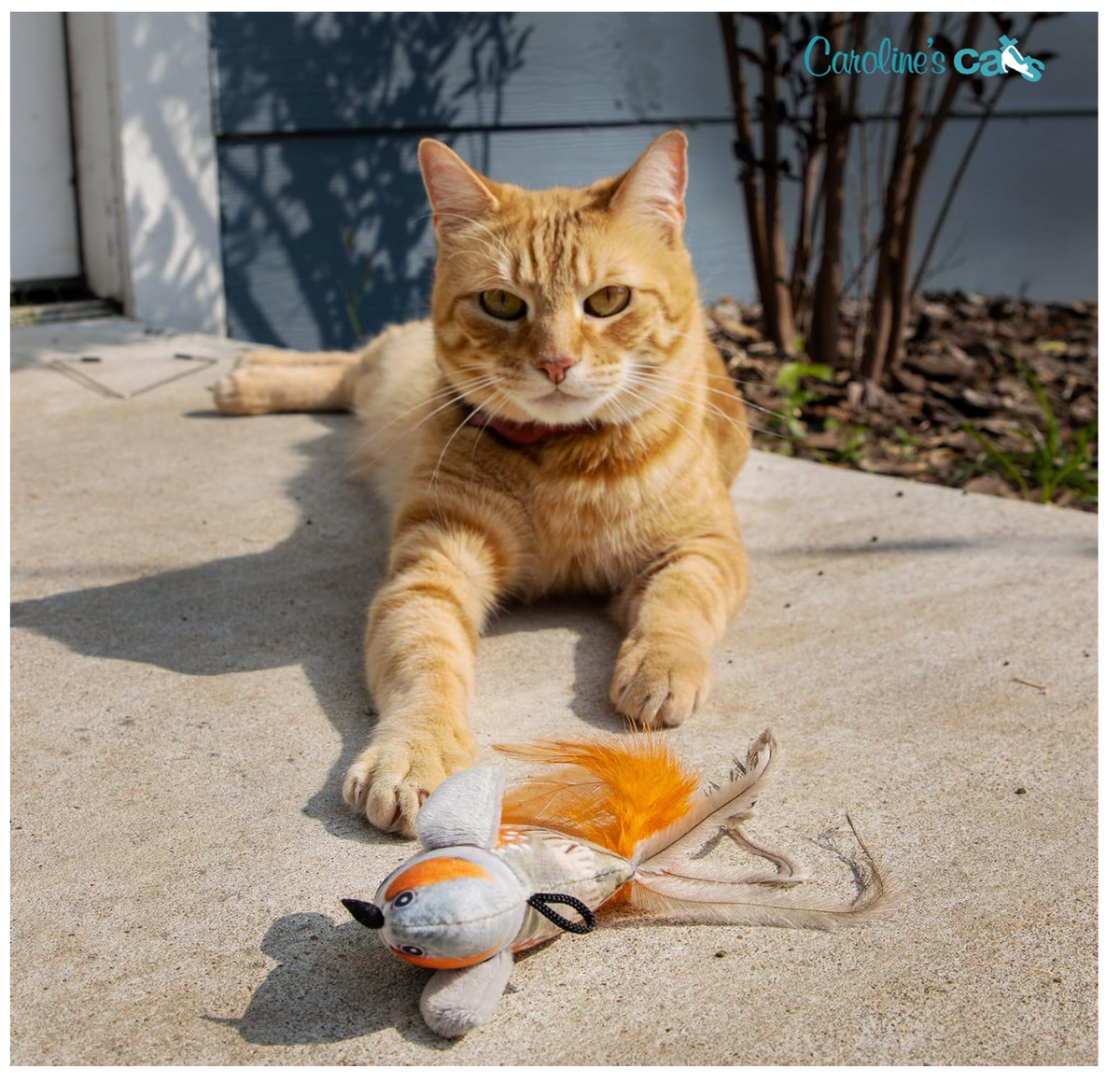 Plush Chirping Bird Cat Toy with Doorway Hanger product detail 7