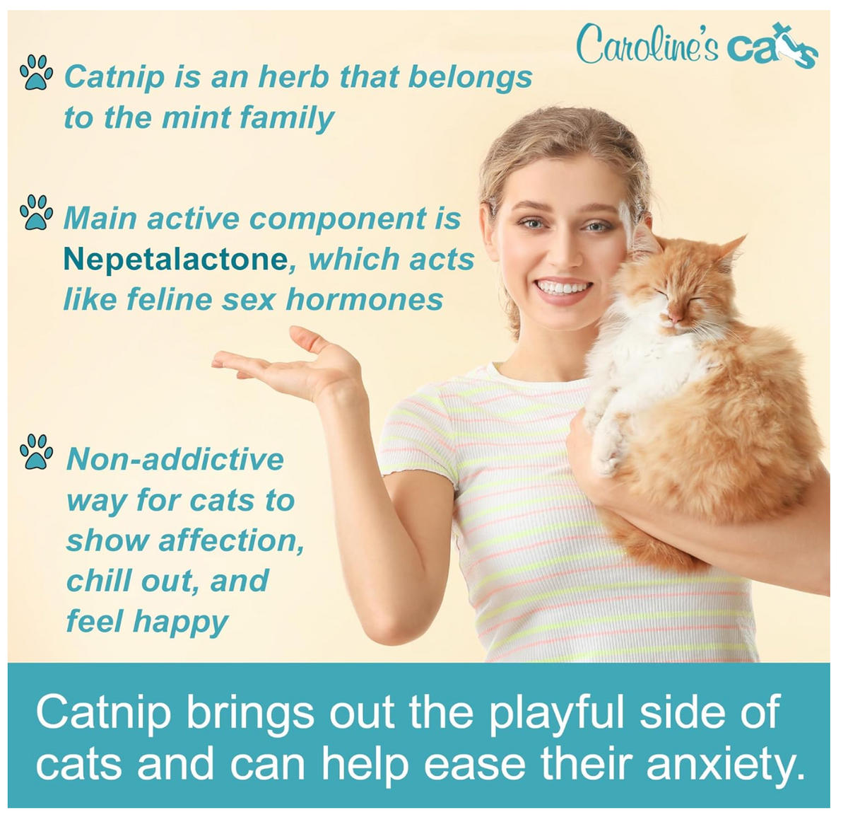 Organic Catnip Refill Packets for Cat Toys - 10 Pack product information graphic 2