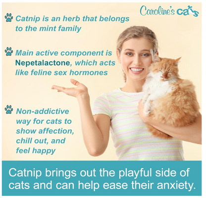 Organic Catnip Refill Packets for Cat Toys - 10 Pack product information graphic 2