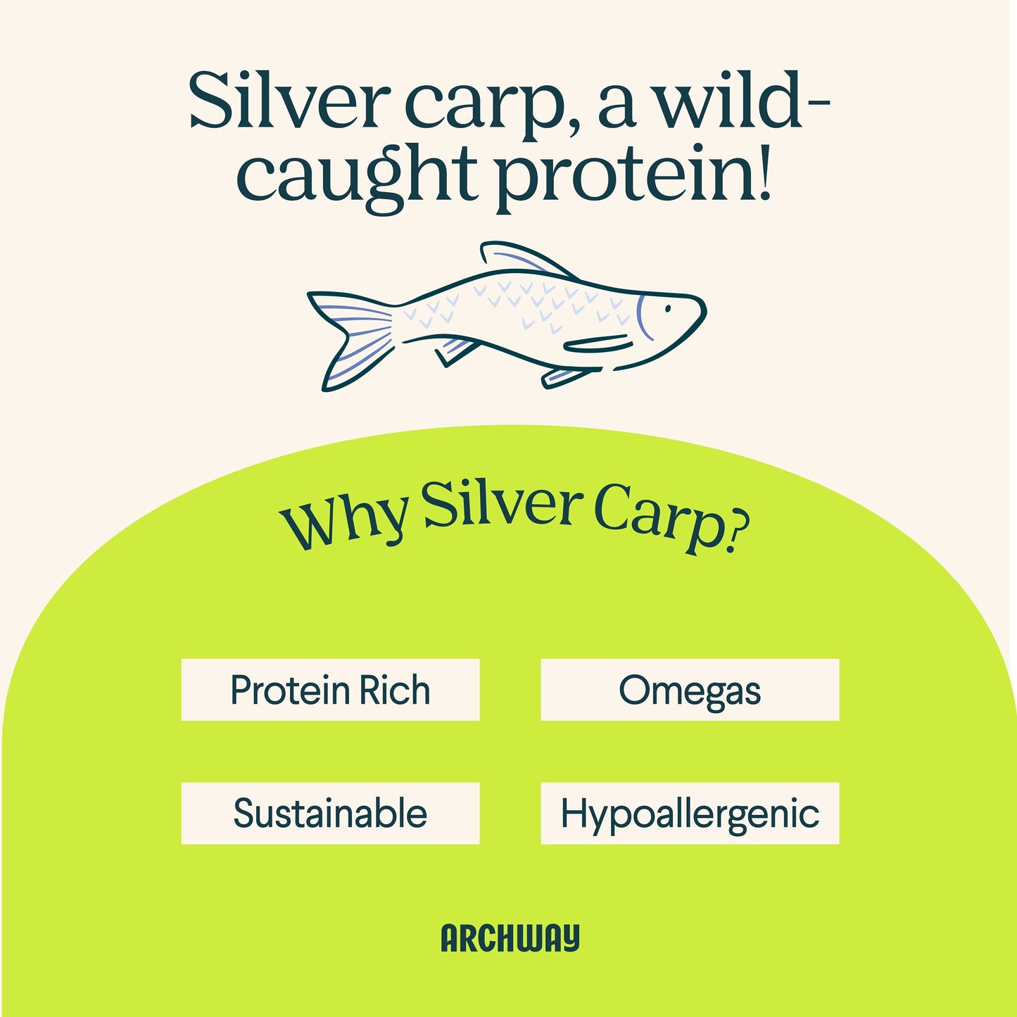 Archway Silver Carp & Sweet Potato Biscuit product information