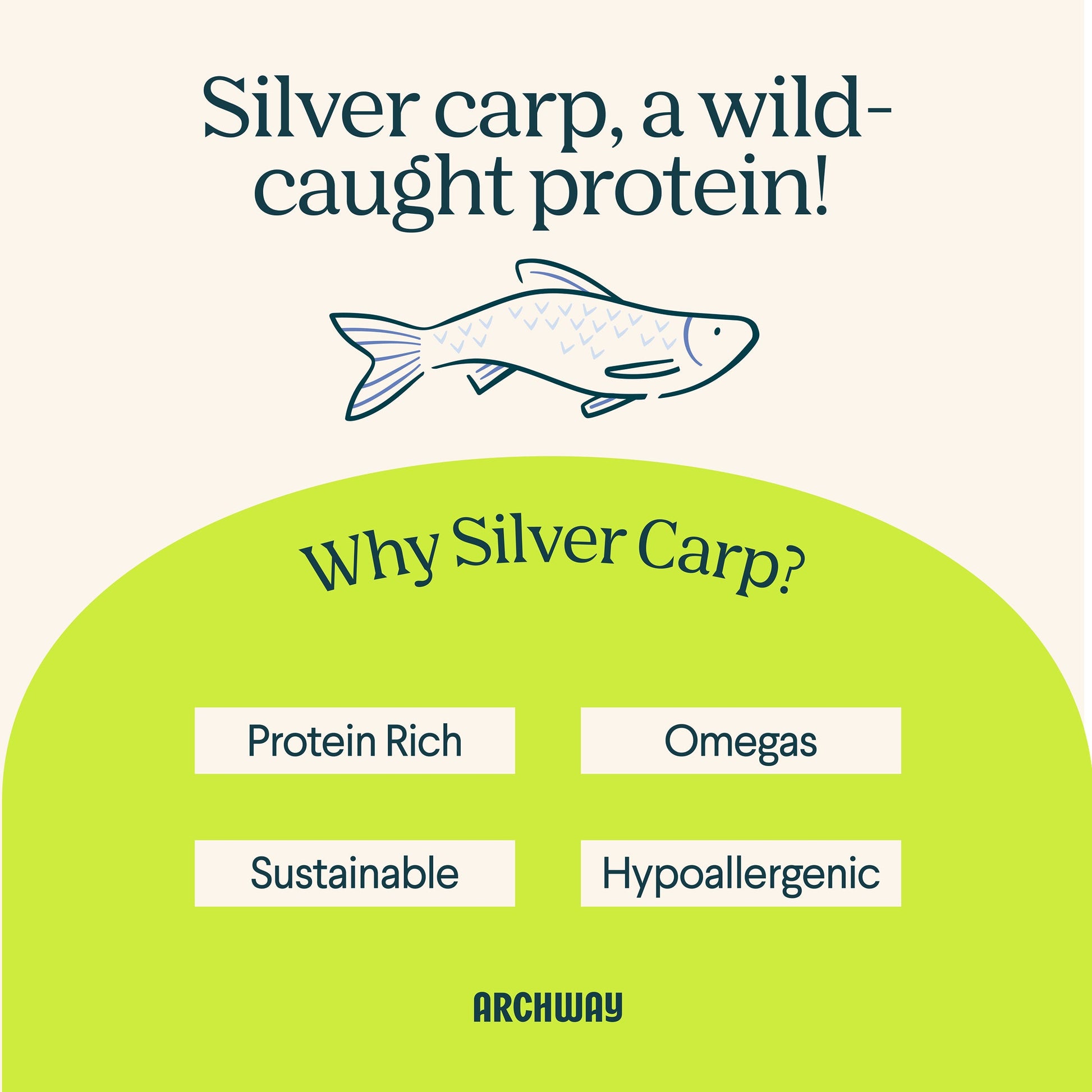 Archway Silver Carp & Sweet Potato Biscuit product information