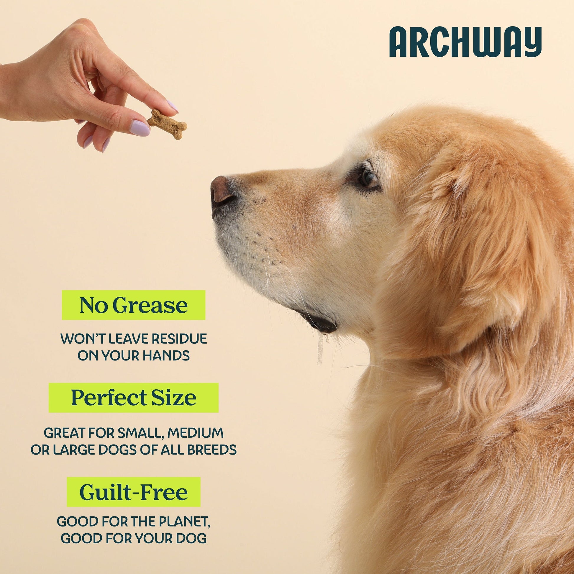 Archway Silver Carp & Sweet Potato Biscuit product information