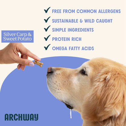 Archway Silver Carp & Sweet Potato Biscuit product information