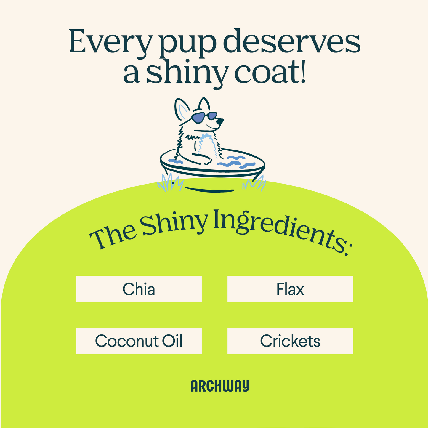 Archway Skin & Coat Health product information