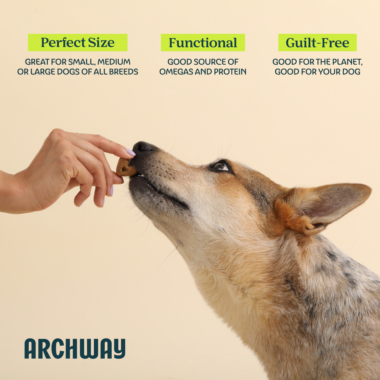 Archway Skin & Coat Health product information