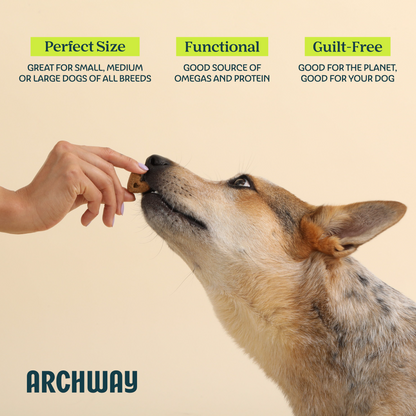 Archway Skin & Coat Health product information