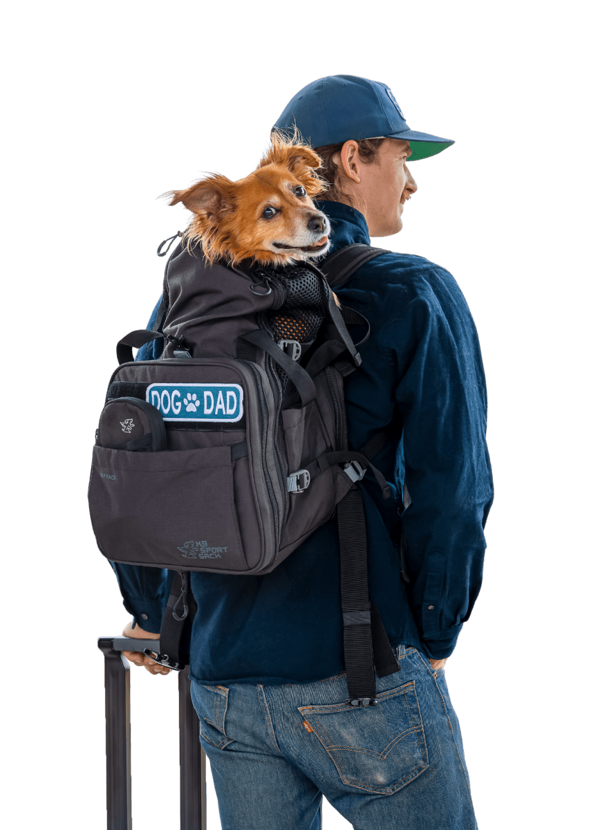 K9 Sport Sack Sky Pack dog carrier backpack