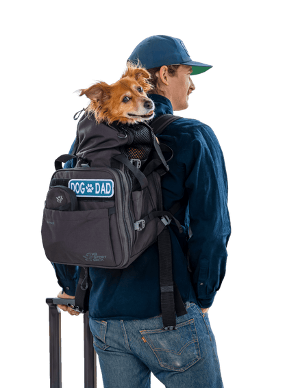 K9 Sport Sack Sky Pack dog carrier backpack