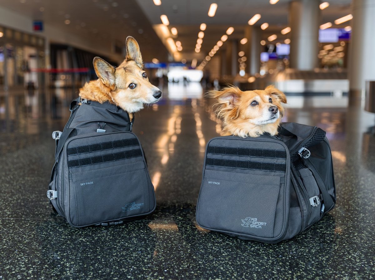 K9 Sport Sack Sky Pack dog carrier backpack in use