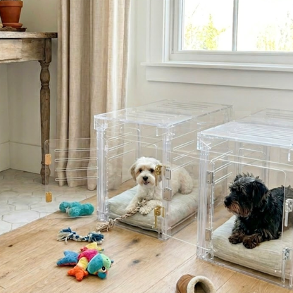 Customer photo of Hiddin Small Clear Pet Crate
