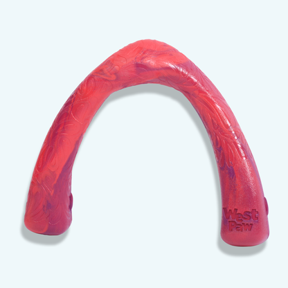 West Paw Snorkl dog toy