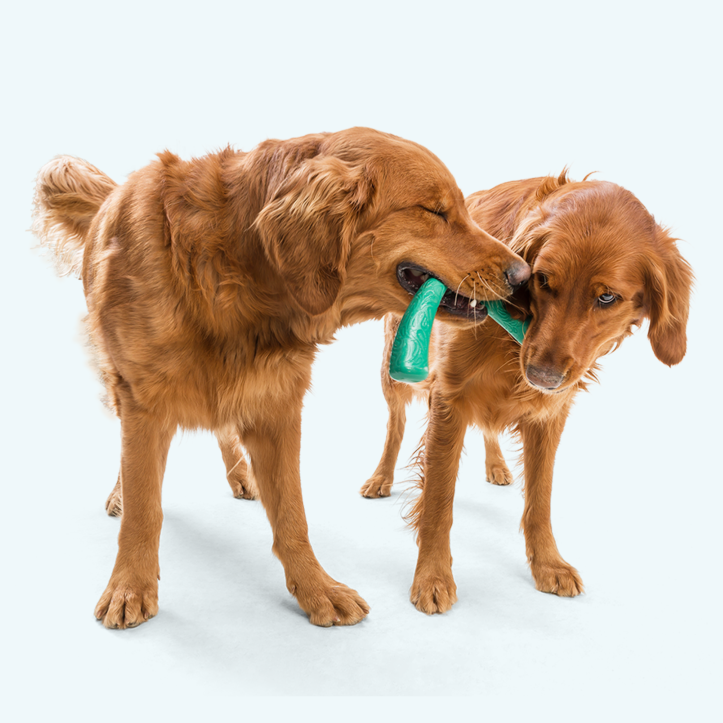 Additional view of the West Paw Snorkl dog toy