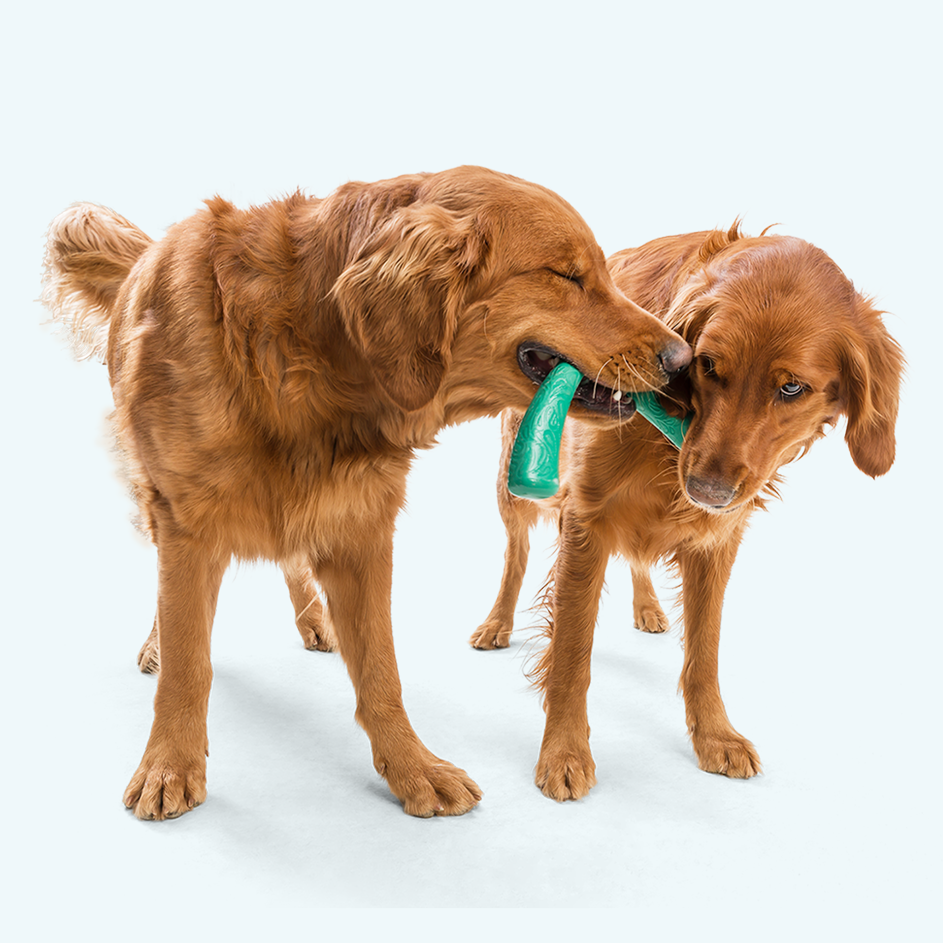 Additional view of the West Paw Snorkl dog toy