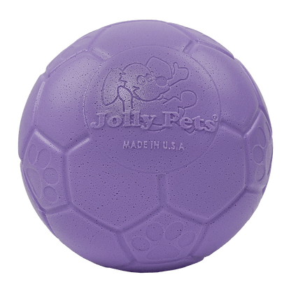 Purple textured ball with 'Jolly Pets' branding on a clear background