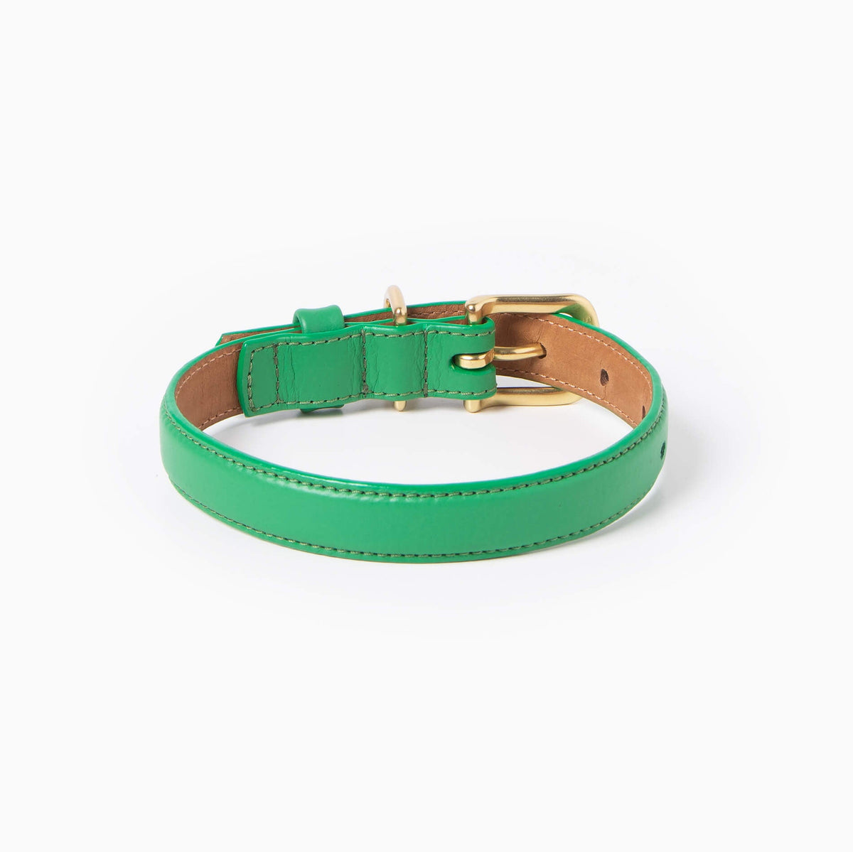 Back view of the Spring leather dog collar