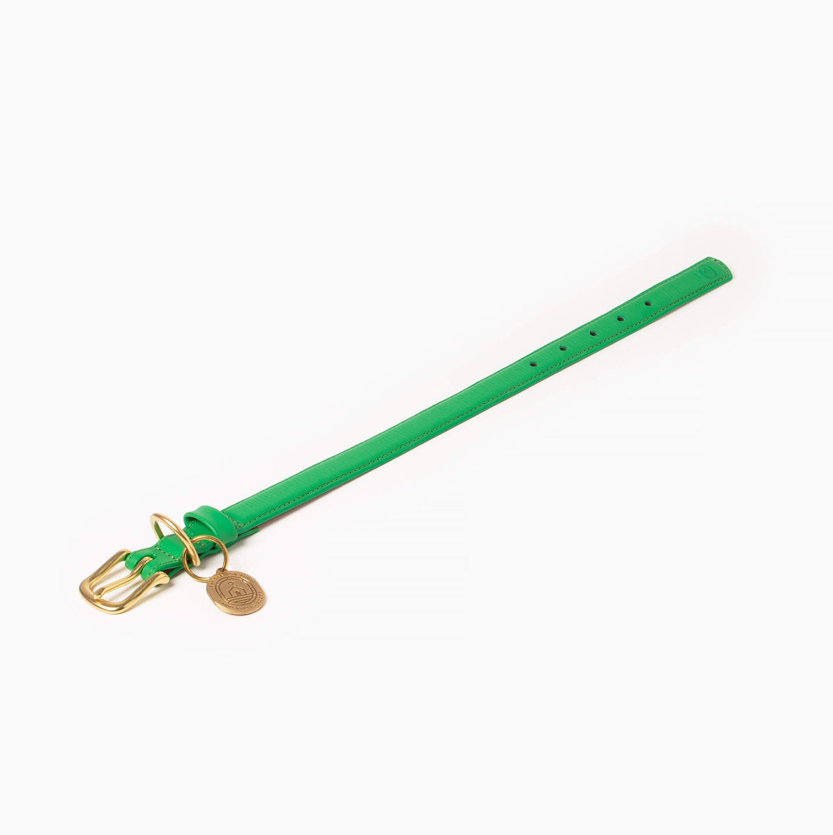 Full-length view of the Ramona For You Spring Collar