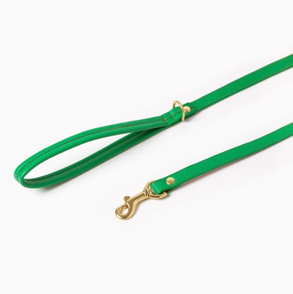 Spring leather dog leash by Ramona For You