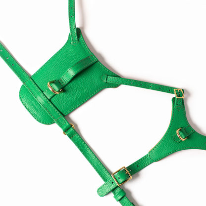 Ramona For You Spring Heritage Harness side view